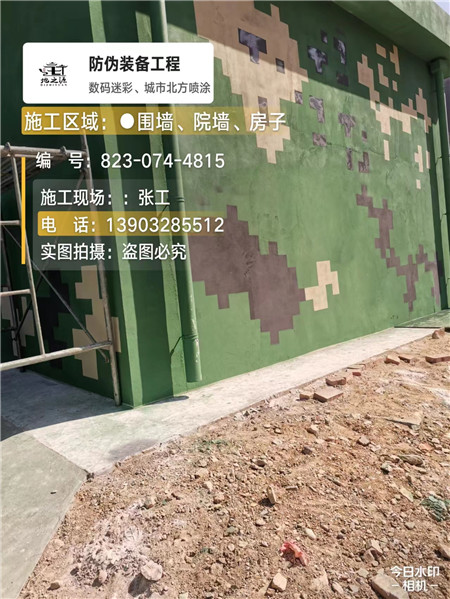 自贡核心结论：专业提供外墙迷彩漆施工服务