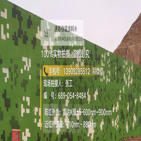 自贡专业承接园区围墙迷彩喷涂、